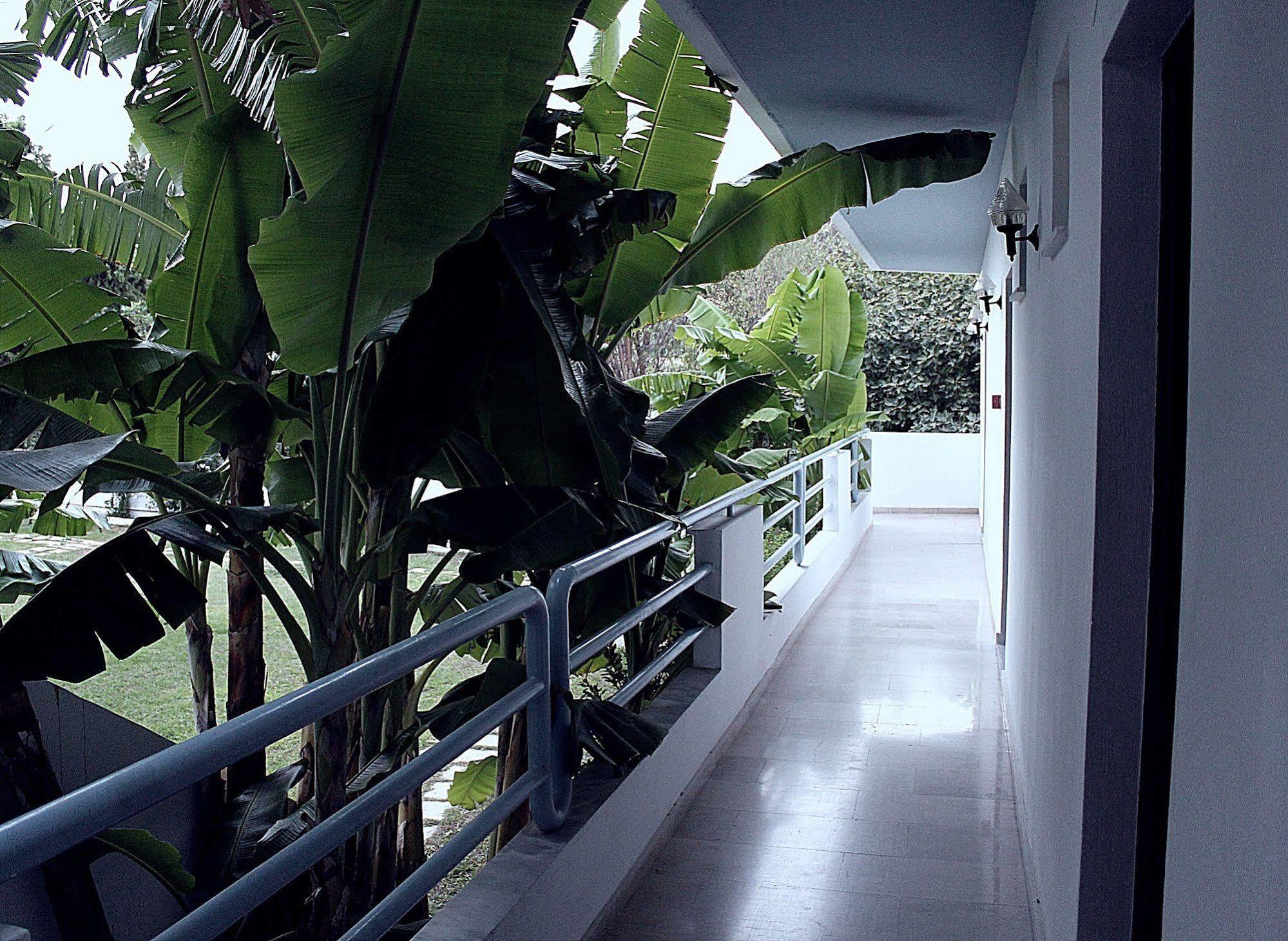 Elga Hotel & Apartments Kardamena  Luaran gambar